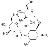 Kanamycin 59-01-8